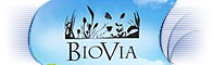 Tvorba webu pro BioVia